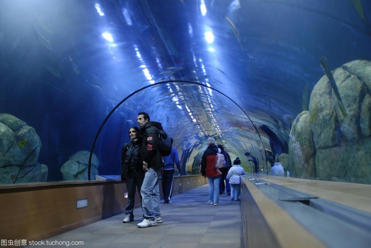 水族馆是什么地方的城市（坎布里亚郡水族馆的教育项目，全球著名水族馆的游客评价） 水族馆百科（水族馆加盟） 第4张