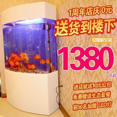 20cm金龙鱼一天喂几次食物（关于金龙鱼喂食的问题） 水族问答 第1张