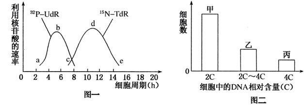 20公分龙鱼一天喂几次（20公分龙鱼一天喂食次数的具体方法） 水族问答 第2张