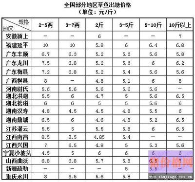 20厘米金龙鱼价格表（20厘米金龙鱼的价格会受到季节影响吗？） 水族问答 第3张