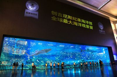 水族馆什么意思（水族馆不仅是欣赏美丽水生生物的好地方，也是一个重要的教育项目） 水族馆百科（水族馆加盟） 第2张