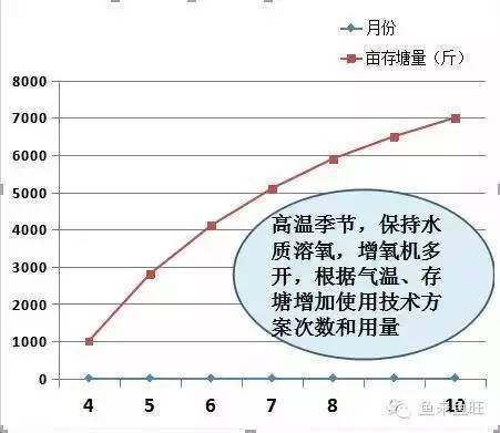 25公分红龙鱼一天吃多少（-回答：红龙鱼一天需要多少食物） 水族问答 第2张