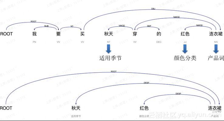 40cm的银龙鱼值多少钱一条（银龙鱼的价格一般是多少？） 水族问答 第1张