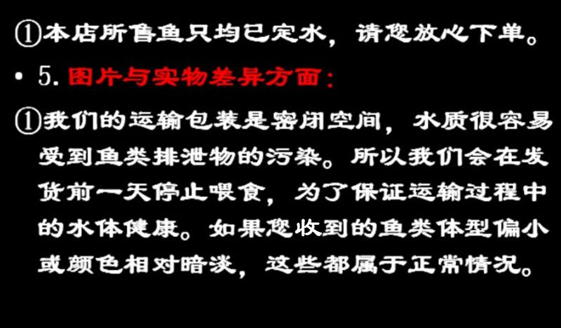 40公分的龙鱼多少钱一条（40公分的龙鱼多少钱一条，如何挑选合适的40公分龙鱼） 水族问答 第2张