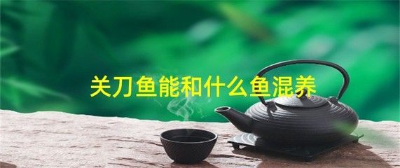 40公分的龙鱼怎么养活的快（一个40厘米的龙鱼适合放在25-30升的水族箱里） 水族问答 第1张