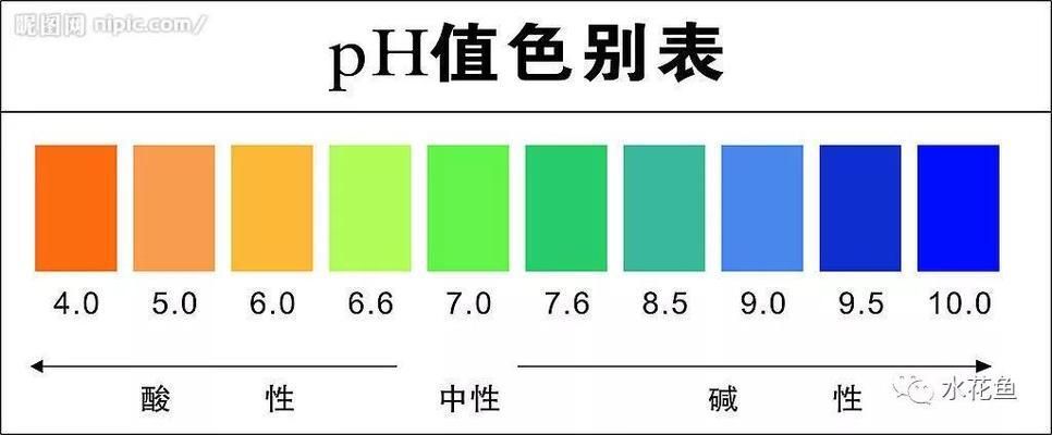 40公分龙鱼 1天吃多少（40公分长的龙鱼一天能消耗多少食物量？） 水族问答 第1张