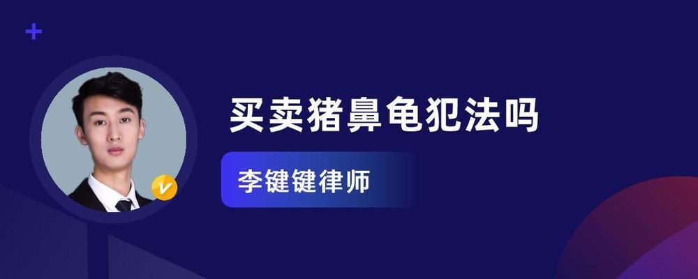 买了一只猪鼻龟犯法吗：购买猪鼻龟判刑吗 猪鼻龟百科 第2张