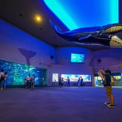 全国水族馆排行2020：海昌海洋公园游玩攻略 水族馆百科（水族馆加盟） 第1张