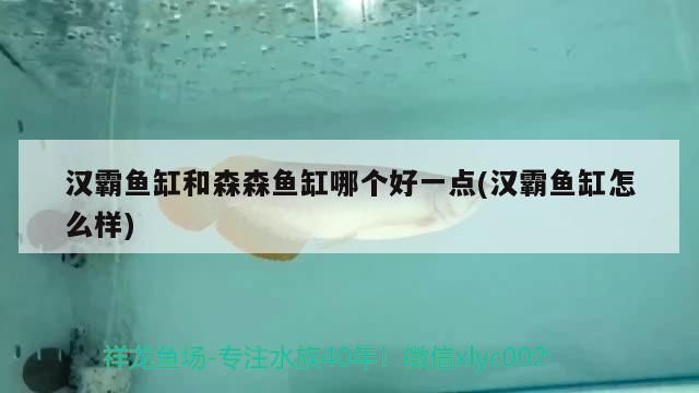 汉霸鱼缸质量怎么样知乎：汉霸鱼缸与森森鱼缸对比评测 鱼缸百科 第3张