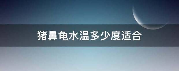 猪鼻龟适合水温：猪鼻龟冬季保温方法，猪鼻龟适合什么水温， 猪鼻龟百科 第9张