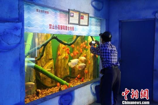 柳州水族馆：探索世界，如果你对海洋生物感兴趣，不妨来柳州 全国观赏鱼市场 第3张