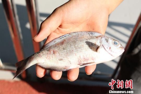 柳州水族馆：探索世界，如果你对海洋生物感兴趣，不妨来柳州 全国观赏鱼市场 第1张