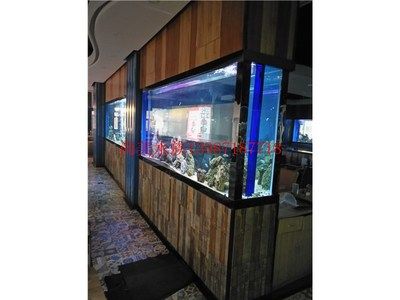 曲靖水族批发市场：曲靖市鱼缸批发市场 全国观赏鱼市场 第4张