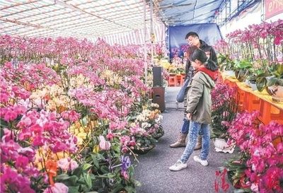 洛阳水族批发市场：洛阳最大的水产批发市场在哪里？ 全国观赏鱼市场 第1张