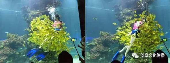 随州水族馆：随州同的水族馆 全国观赏鱼市场 第2张