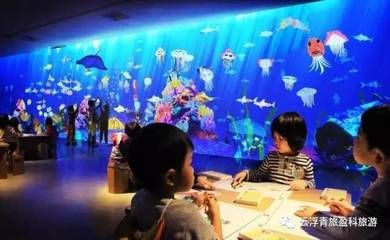 云浮水族馆：云浮市云城区特色水族馆