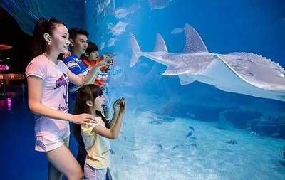 云浮水族馆：云浮市云城区特色水族馆