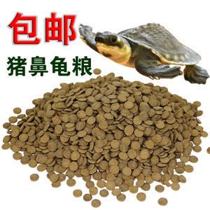 猪鼻龟长到多大喂下沉饲料好：猪鼻龟喂多少合适， 猪鼻龟百科 第6张