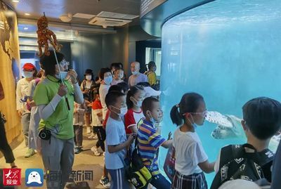 水族馆里面有什么：水族馆展示海洋哺乳动物的绝佳场所 水族馆百科（水族馆加盟） 第5张