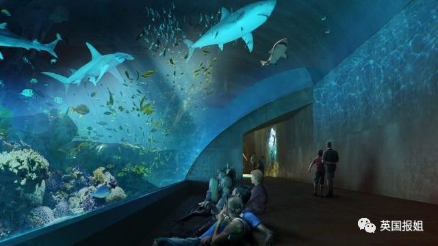 想开一家小型水族馆怎么样：开设一家小型水族馆可以是一项有趣且有潜力的商业活动 水族馆百科（水族馆加盟） 第4张