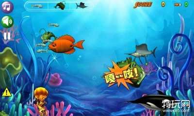 水族馆小游戏有哪些：水族馆小游戏哪个最治愈 水族馆百科（水族馆加盟） 第2张