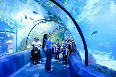 佛山水族馆：佛山市昊丽水族馆 全国观赏鱼市场 第4张