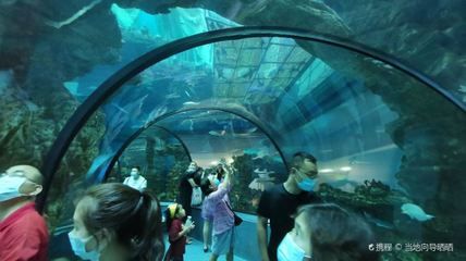 佛山水族馆：佛山市昊丽水族馆 全国观赏鱼市场 第3张