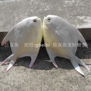 水族馆店铺适合放什么摆件呢视频：水族馆店铺摆件风水讲究鱼缸内植物摆放技巧 水族馆百科（水族馆加盟） 第2张