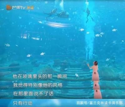 开一家水族馆赚钱吗：开一家水族馆是否能够盈利，这取决于多个因素取决于多个因素 水族馆百科（水族馆加盟） 第6张