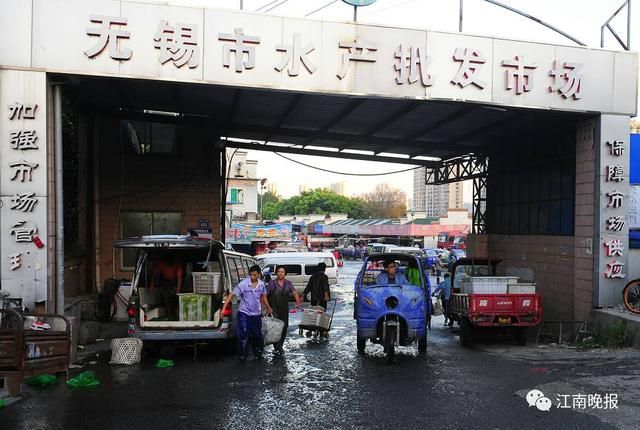 无锡水族批发市场：无锡水族批发市场在哪里？ 全国观赏鱼市场 第12张