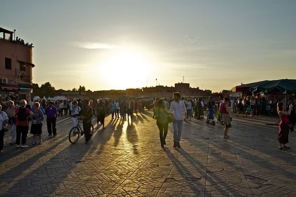 衡水鱼缸批发市场：衡水二手鱼缸批发市场在哪里 全国观赏鱼市场 第5张