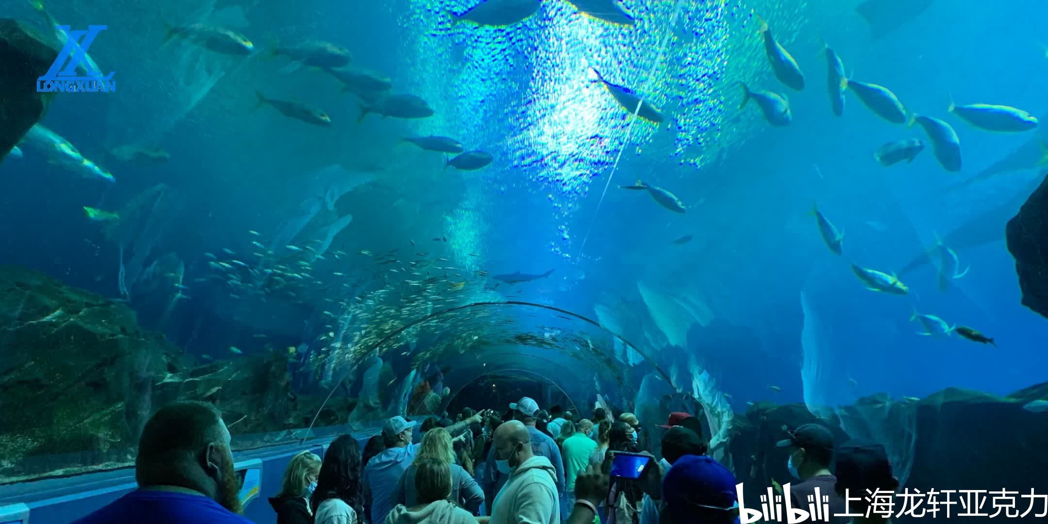 水族馆干什么的：水族馆是一个多功能的场所 水族馆百科（水族馆加盟） 第1张