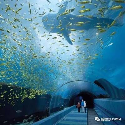 水族馆干什么的：水族馆是一个多功能的场所 水族馆百科（水族馆加盟） 第2张