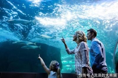 水族馆干什么的：水族馆是一个多功能的场所 水族馆百科（水族馆加盟） 第3张