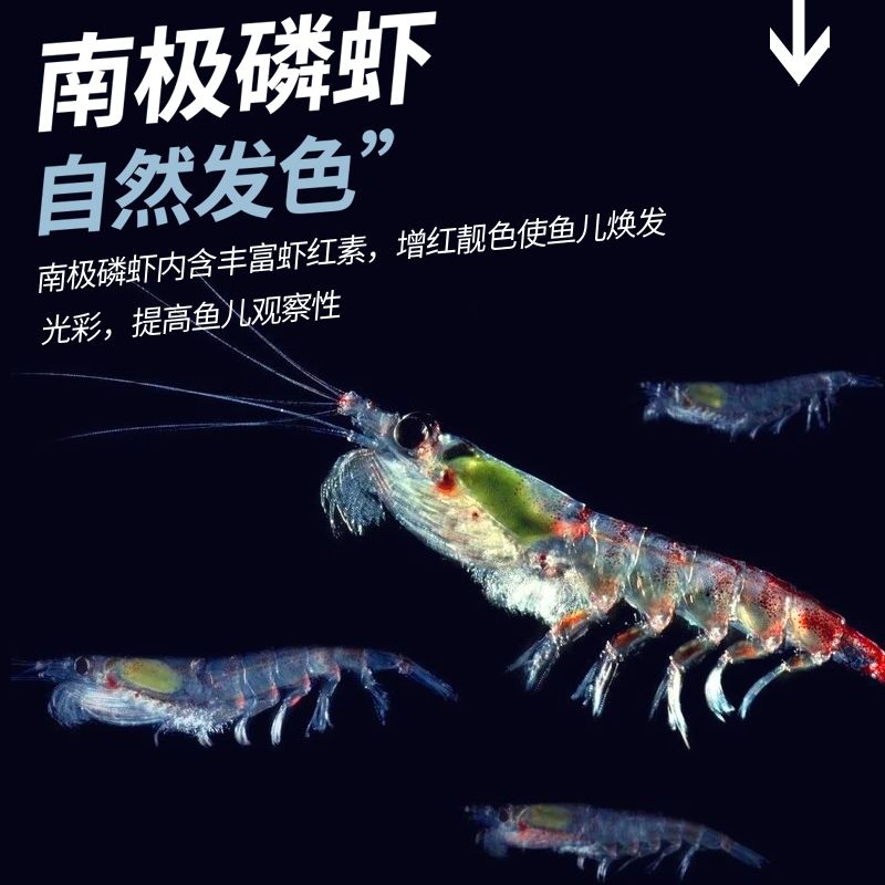 龙鱼喂虾红素有害吗：虾红素对龙鱼的增色有什么作用？ 龙鱼百科 第6张