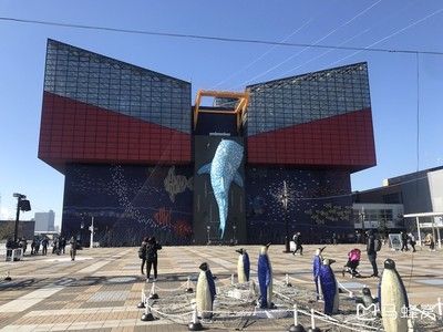 保山水族馆：保山水族馆史前青蛙真能吃掉恐龙，澳大利亚阿德莱德大学家发现 全国观赏鱼市场 第1张