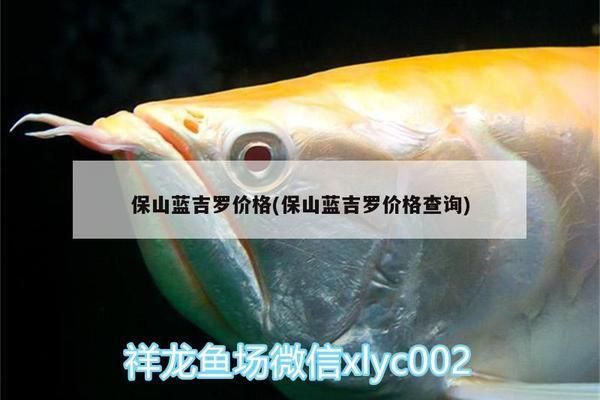 保山水族馆：保山水族馆史前青蛙真能吃掉恐龙，澳大利亚阿德莱德大学家发现 全国观赏鱼市场 第8张