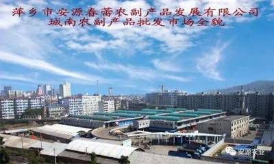 萍乡水族批发市场：淡水鱼批发市场在哪里 全国观赏鱼市场 第2张