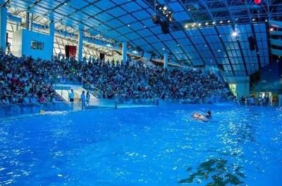 吕梁水族馆：boss开聊吧!吕梁吕梁市离石区九龙水族馆 全国观赏鱼市场 第1张