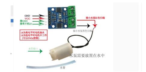 佳路鱼缸传感器怎么拆视频：“佳路鱼缸传感器怎么拆视频详情”鱼缸传感器拆卸方法 鱼缸百科 第6张