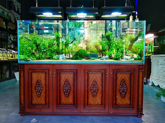 水族馆开店：开一家小型水族馆的费用大约在10万元到20万元 水族馆百科（水族馆加盟） 第5张