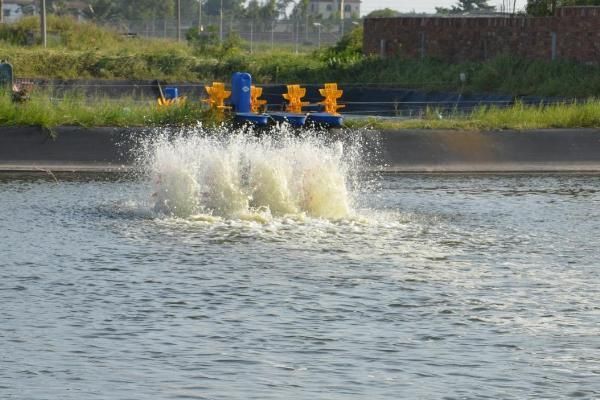 冬天可以给龙鱼换冷水吗：冬天为龙鱼更换冷水时需小心谨慎因为水温急剧变化 水族问答 第3张