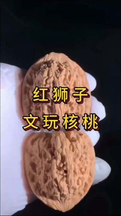 红狮子核桃：红狮子核桃是一种高品质的坚果，在市场上具有一定的竞争优势和发展机会 观赏鱼论坛 第1张