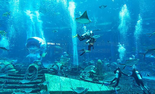 水族馆饭店：《水族馆饭店》影评 水族馆百科（水族馆加盟） 第5张