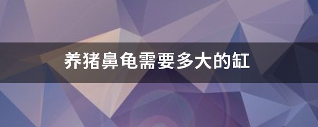 养猪鼻龟要多大的鱼缸：养猪鼻龟需要多大的鱼缸才能养活它 猪鼻龟百科 第5张