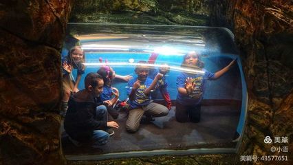 水族馆是干什么的呢：水族馆主要功能和作用 水族馆百科（水族馆加盟） 第4张