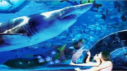 保定水族馆：保定旅游攻略保定水族馆