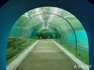 保定水族馆：保定旅游攻略保定水族馆 全国观赏鱼市场 第10张