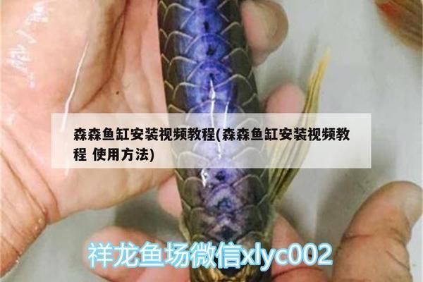 森森鱼缸正确安装方法：森森鱼缸hlh1058e三代 鱼缸百科 第5张