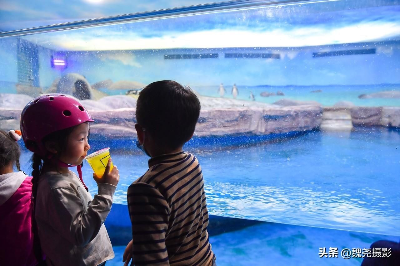 水族馆怎么建的：水族馆建设需要考虑多种因素和吸引游客并教育水族馆建设 水族馆百科（水族馆加盟） 第1张